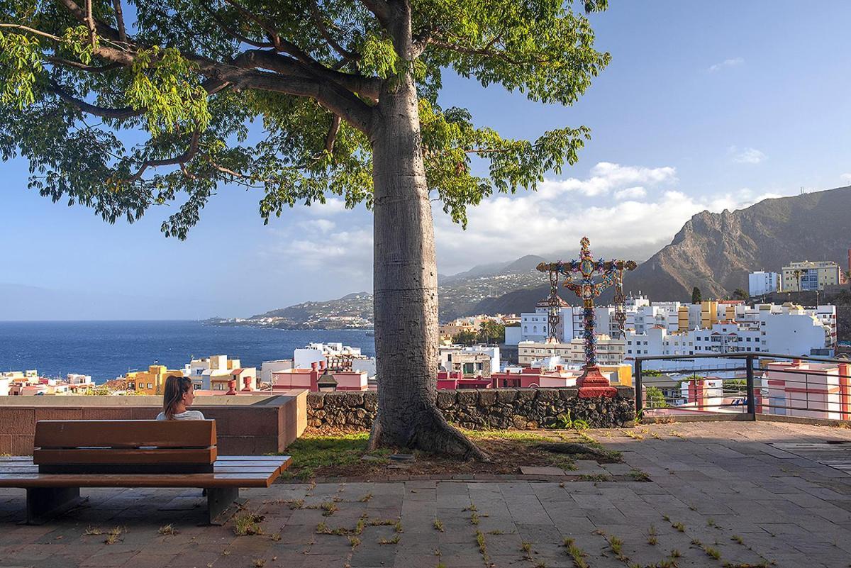 Viviendas Vacacionales El Mango Santa Cruz de la Palma  Eksteriør billede